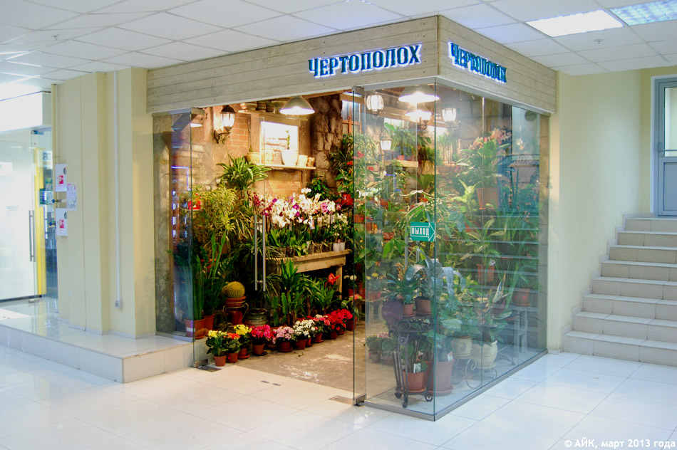 Магазин цветов «Чертополох» в городе Обнинске