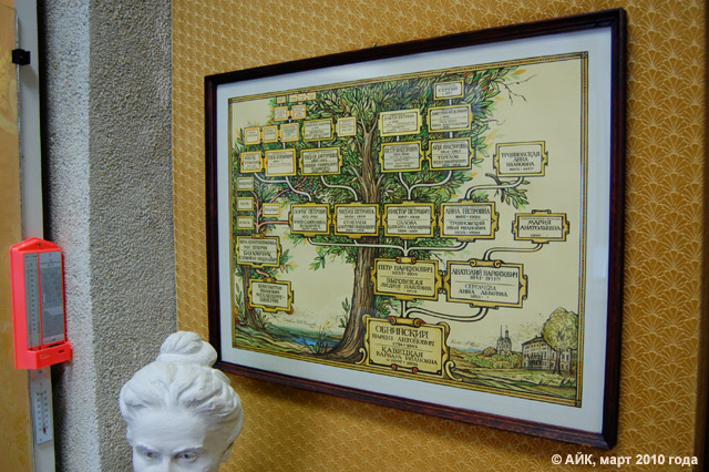 Музей истории Обнинска: генеалогическое дерево семьи Обнинских