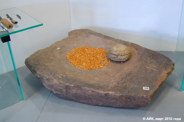 Музей истории Обнинска: зернотёрка — орудие из двух камней, между которыми растиралось зерно в муку