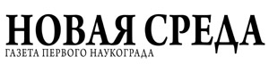Логотип газеты «Новая среда»