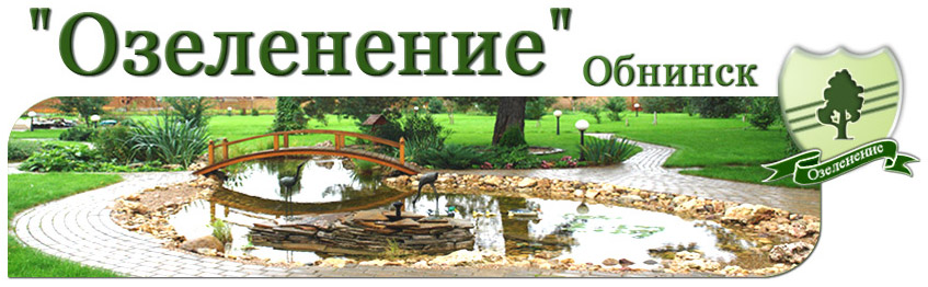 Студия ландшафтного дизайна «Озеленение» в городе Обнинске