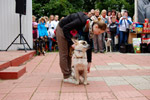 Фестиваль беспородных животных «Доброе сердце» (2012 год) в городе Обнинске