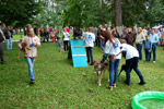 Фестиваль беспородных животных «Доброе сердце» (2012 год) в городе Обнинске