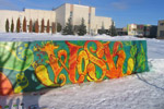 Конкурс граффити «Дарите девушкам цветы» в городе Обнинске