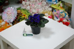 Салон цветов «Ромашка» в городе Обнинске