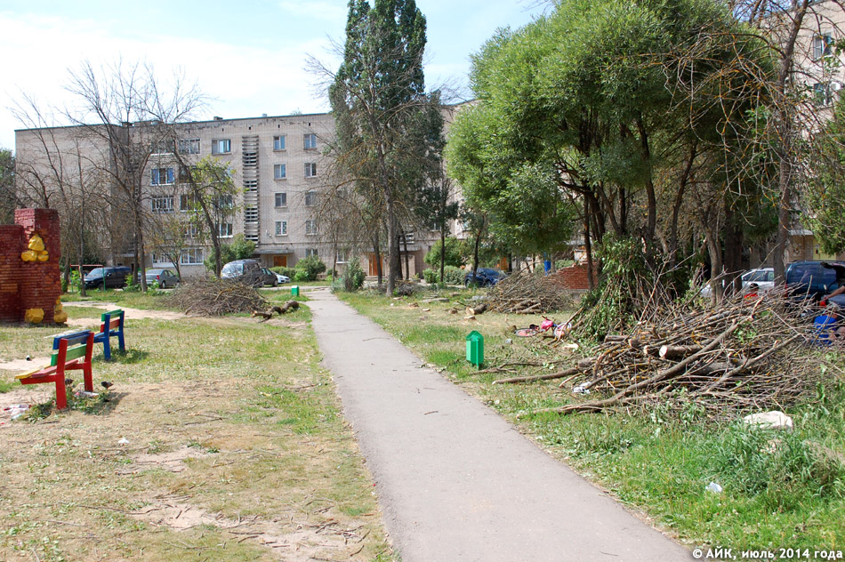 Вырубка сухостоя во дворе на улице Энгельса в городе Обнинске