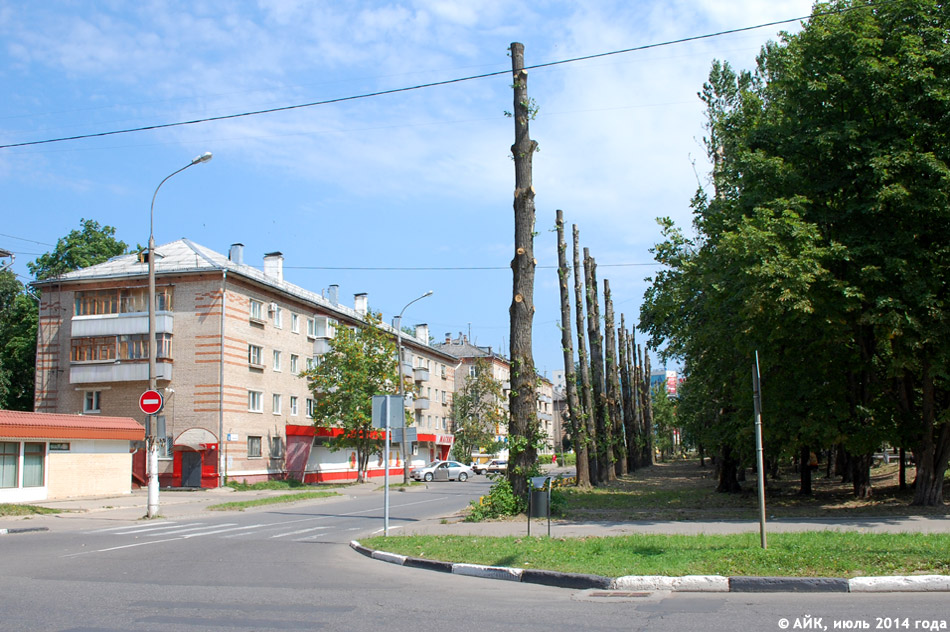 Вырубка опасного сухостоя на улице Жолио-Кюри в городе Обнинске